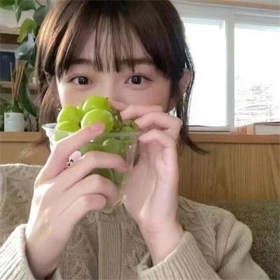 北极故事